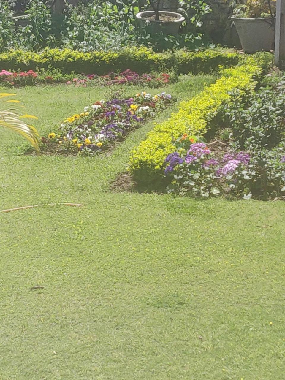 Heritage Homestay Jammu Exterior foto